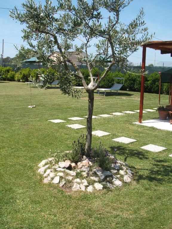 La Locanda Country House Borgo Montenero Bagian luar foto