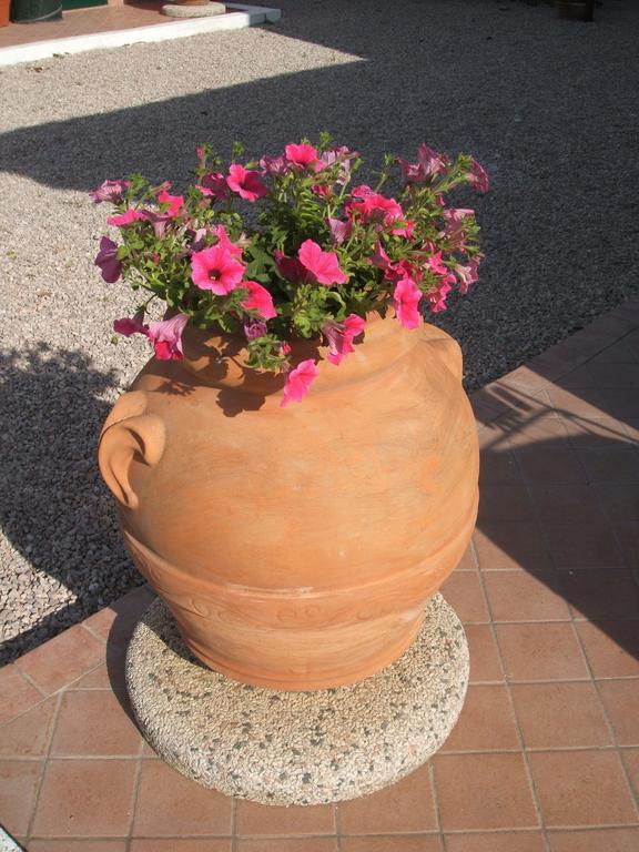 La Locanda Country House Borgo Montenero Bagian luar foto